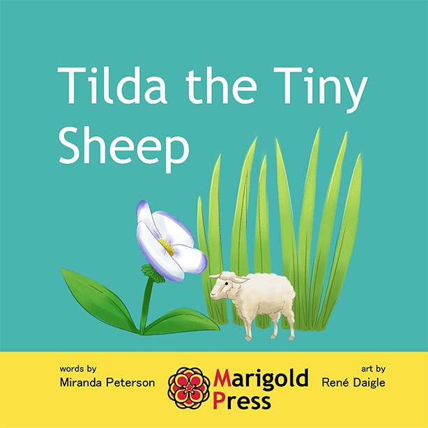 marigold tilda the tiny sheep